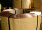 Hohes Maßgenauigkeits-Kupfer überzogener Stahldraht für Lufteinlass, PET Rohr, Bürste fournisseur